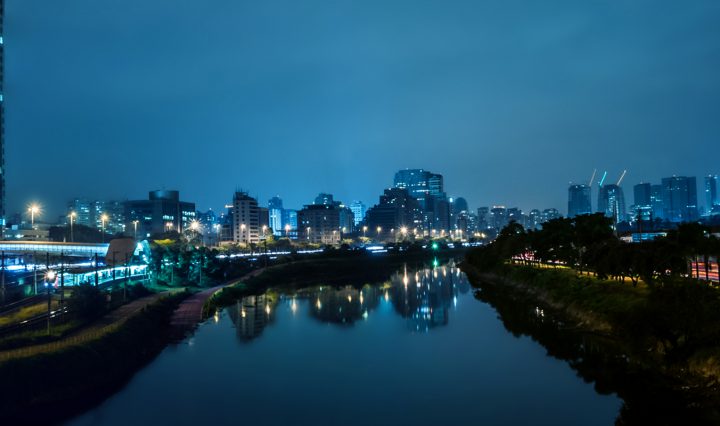 pinheiros