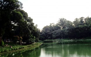 Parque da Aclimação