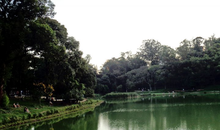 Parque da Aclimação
