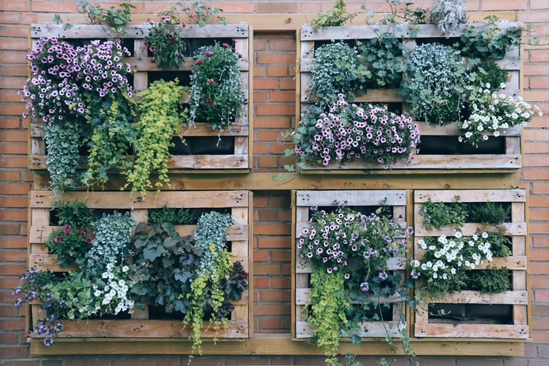 Horta em caixas em apartamento