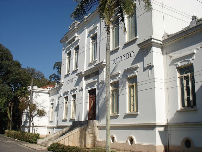 Instituto Butantã, Em São Paulo