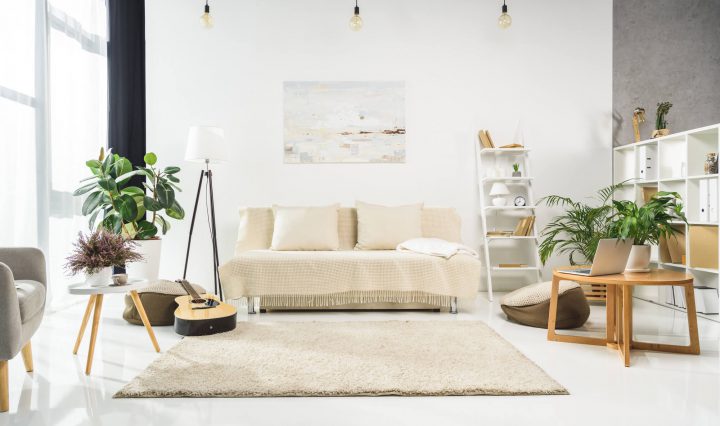 plantas na decoração