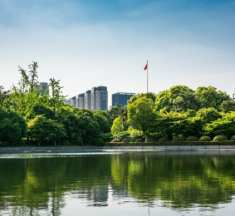Vila Clementino: Um Refúgio Urbano ao Lado do Parque do Ibirapuera