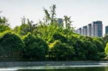 Descubra as vantagens de morar próximo ao Parque Ibirapuera, desfrutando de qualidade de vida e lazer na Vila Clementino.