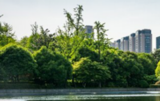 Descubra as vantagens de morar próximo ao Parque Ibirapuera, desfrutando de qualidade de vida e lazer na Vila Clementino.