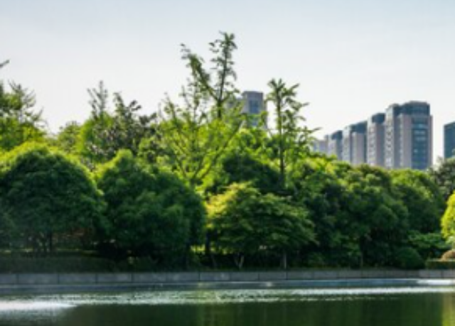Descubra as vantagens de morar próximo ao Parque Ibirapuera, desfrutando de qualidade de vida e lazer na Vila Clementino.