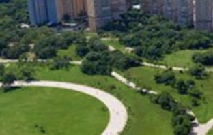cropped-Captura-de-Tela-2024-10-22-as-14.46.08.png