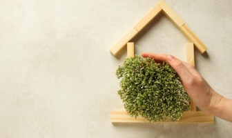 Casas sustentáveis: entenda o conceito e descubra como adotar princípios ecológicos