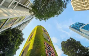 materiais de construção sustentáveis