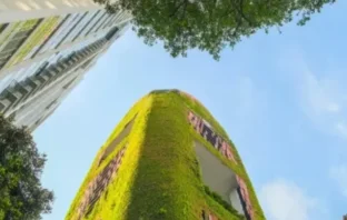materiais de construção sustentáveis