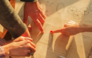 programa personalize trisul na planta