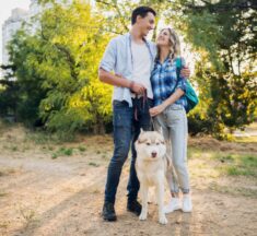 Como é morar em Moema com pet? Guia completo para tutores