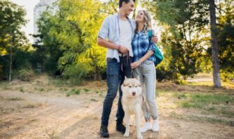 Casal passeando com cachorro em Moema