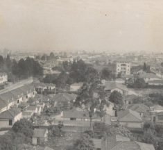 História de Moema: como o bairro cresceu e se tornou um dos mais desejados de São Paulo